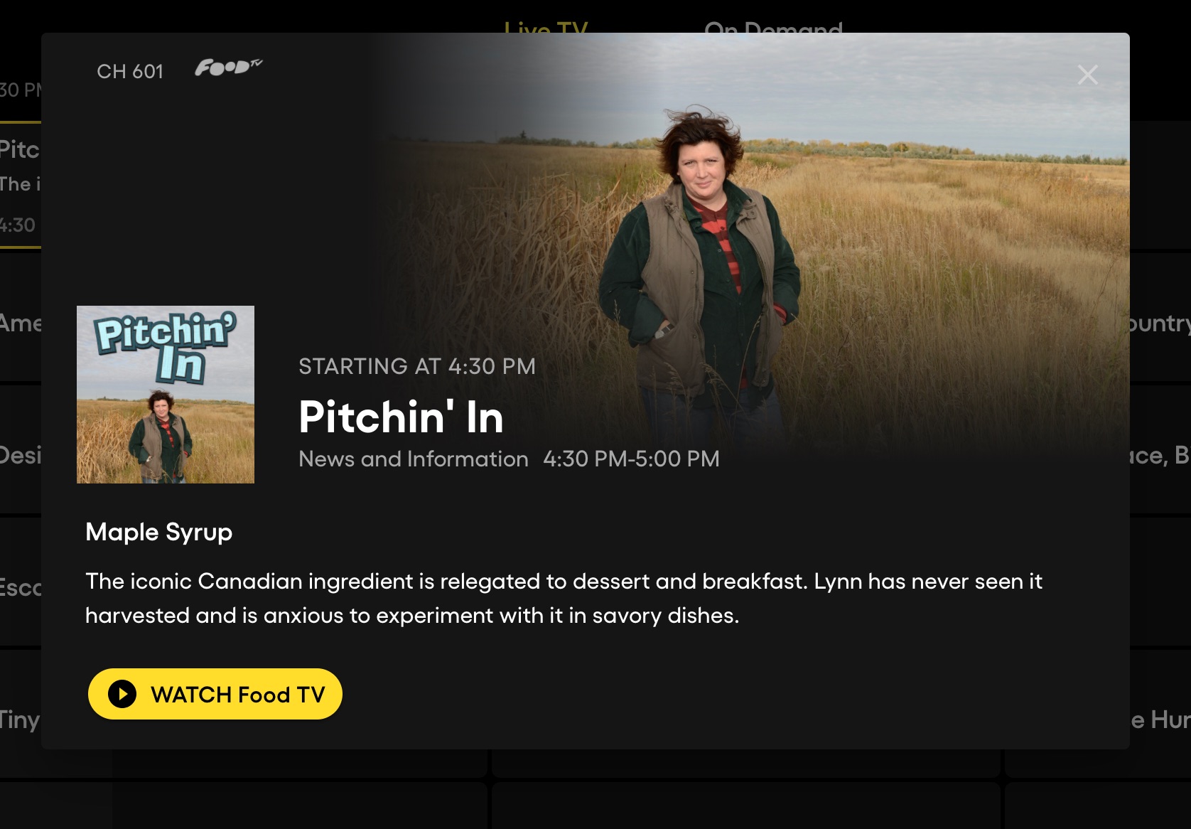 How To View More Info About A Program In A Browser